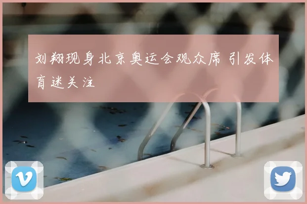 刘翔现身北京奥运会观众席 引发体育迷关注