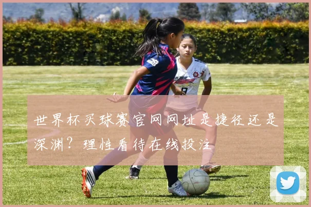 世界杯买球赛官网网址是捷径还是深渊？理性看待在线投注