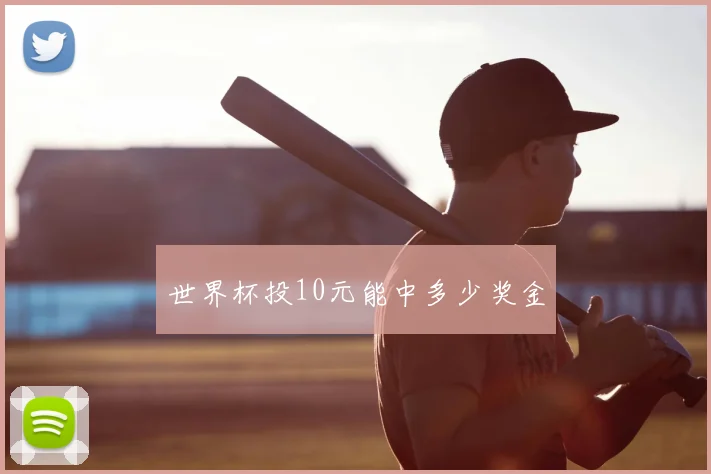 世界杯投10元能中多少奖金