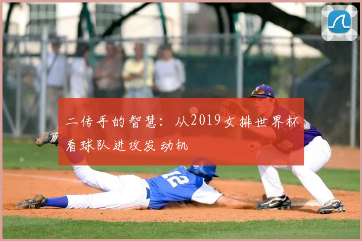 二传手的智慧：从2019女排世界杯看球队进攻发动机