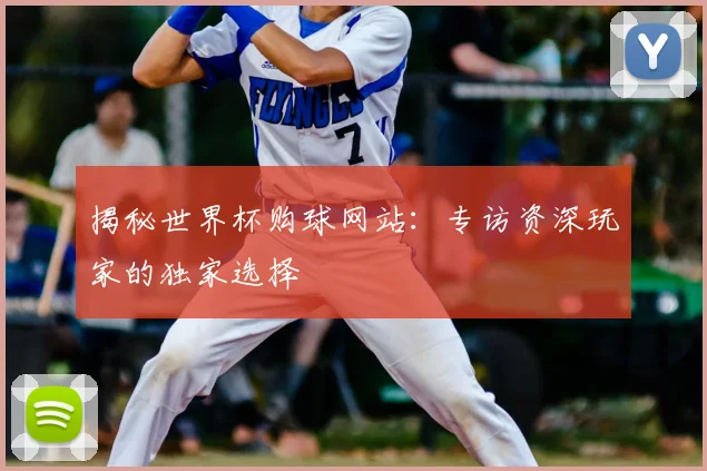揭秘世界杯购球网站:专访资深玩家的独家选择