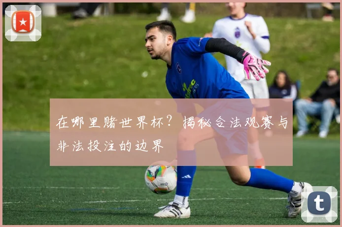 在哪里赌世界杯?揭秘合法观赛与非法投注的边界