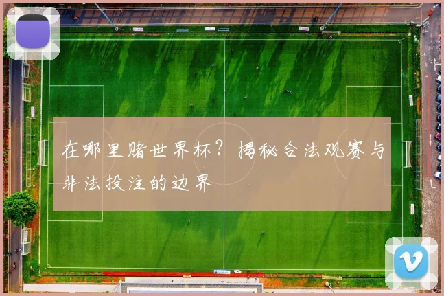 在哪里赌世界杯?揭秘合法观赛与非法投注的边界