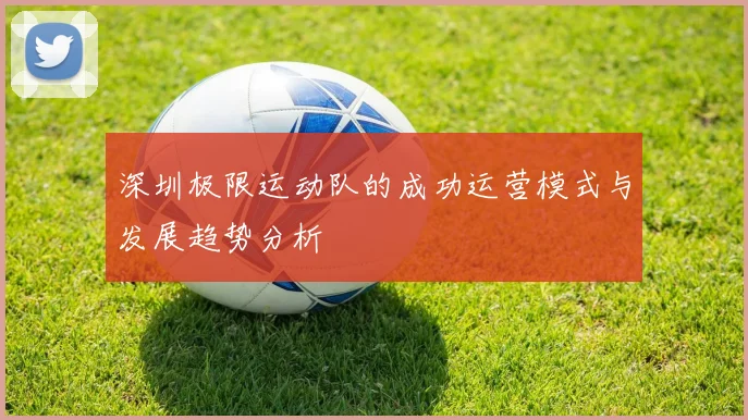 深圳极限运动队的成功运营模式与发展趋势分析