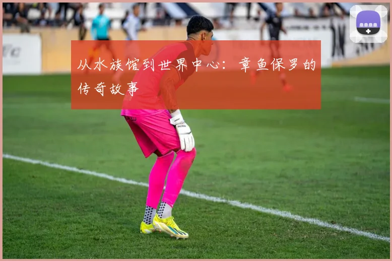 从水族馆到世界中心:章鱼保罗的传奇故事