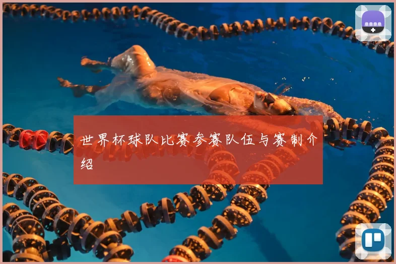 世界杯球队比赛参赛队伍与赛制介绍