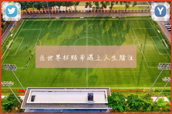 当世界杯赔率遇上人生赌注