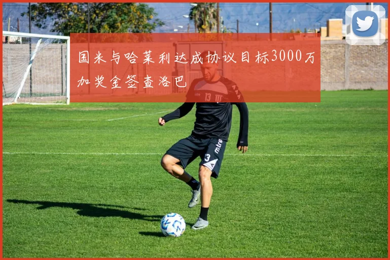 国米与哈莱利达成协议目标3000万加奖金签查洛巴