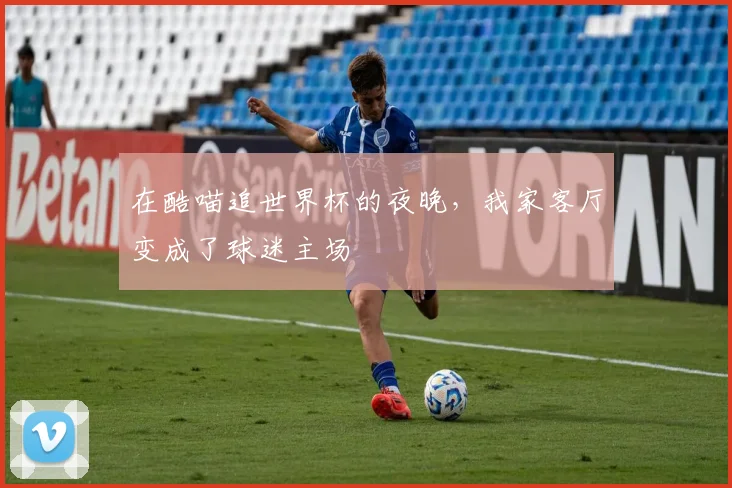 在酷喵追世界杯的夜晚，我家客厅变成了球迷主场