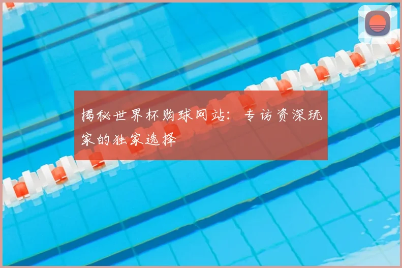 揭秘世界杯购球网站：专访资深玩家的独家选择