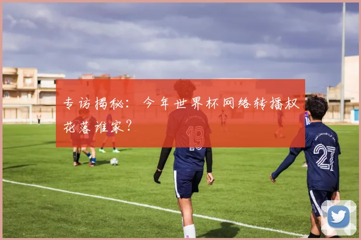 专访揭秘:今年世界杯网络转播权花落谁家?