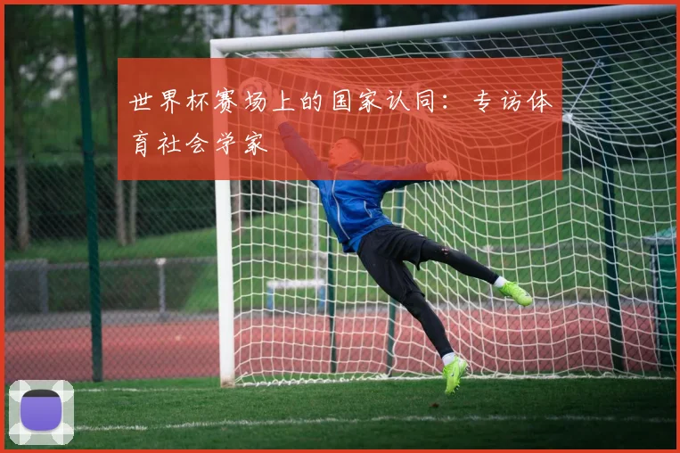 世界杯赛场上的国家认同:专访体育社会学家