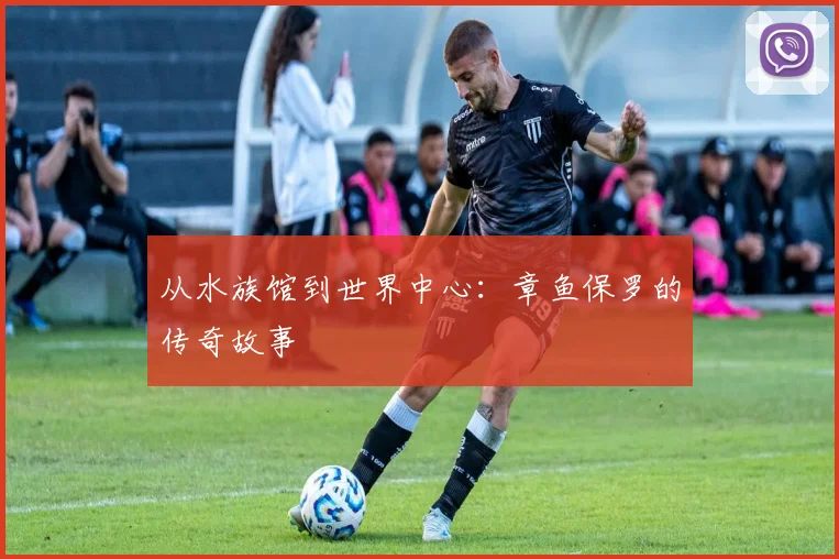 从水族馆到世界中心:章鱼保罗的传奇故事