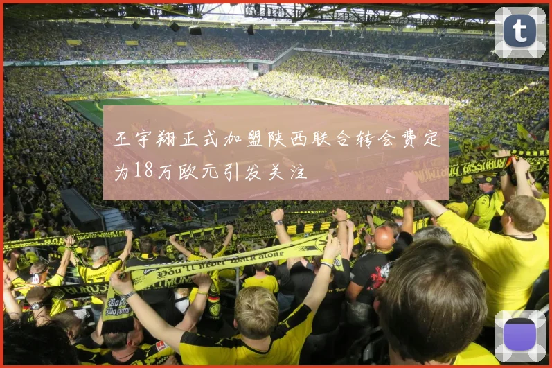 王宇翔正式加盟陕西联合转会费定为18万欧元引发关注