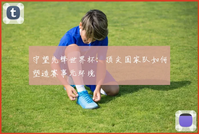 守望先锋世界杯:顶尖国家队如何塑造赛事元环境