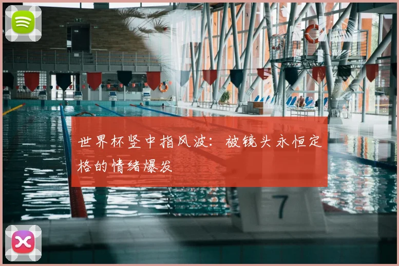 世界杯竖中指风波:被镜头永恒定格的情绪爆发