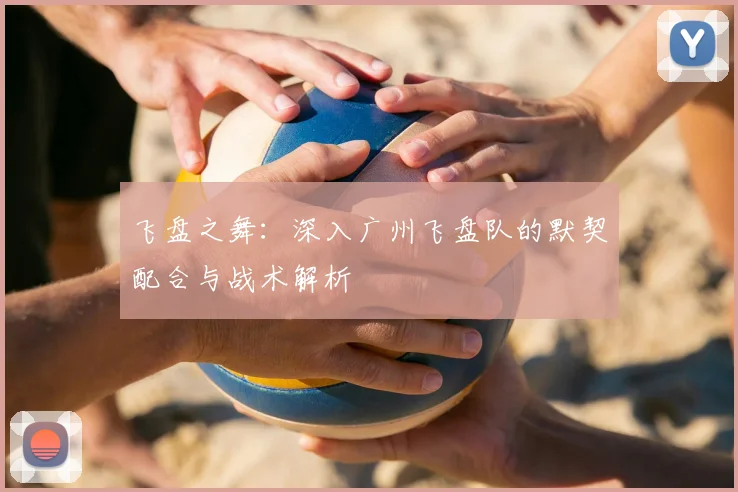 飞盘之舞：深入广州飞盘队的默契配合与战术解析